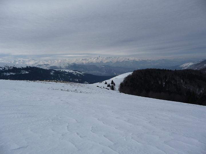 SarratDeLaPelade2009 022.jpg